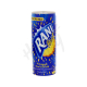 Rani-Pineapple-Juice-240-Ml.jpg